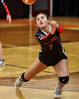 Volleyball