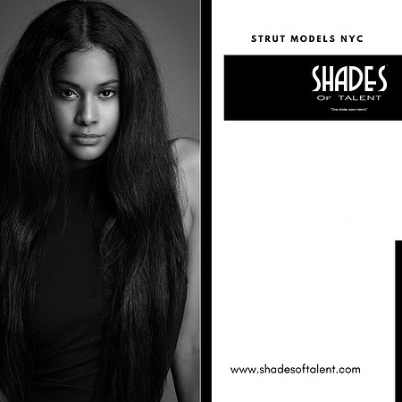 www.shadesoftalent.com - 1
